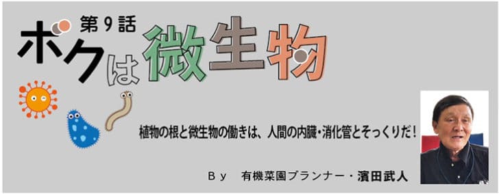 植物の根と微生物の働きは 人間の内臓 消化管とそっくりだ お母さん大学
