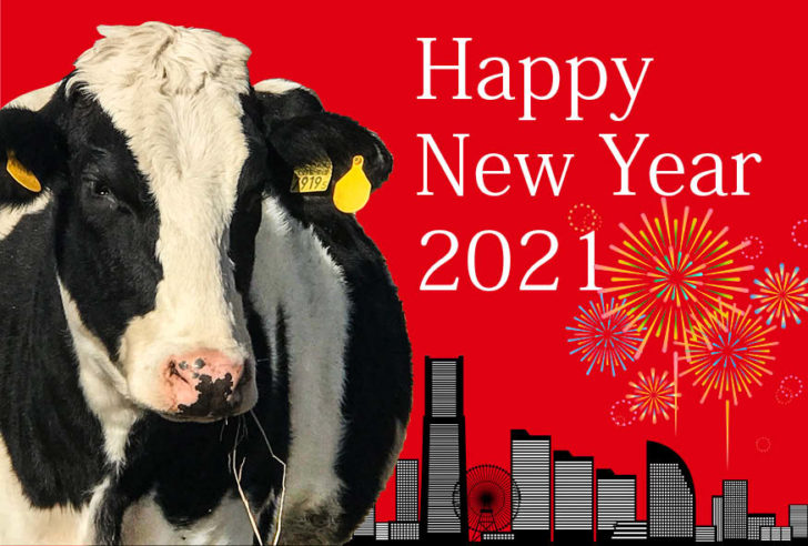 あけましておめでとうございます 今年もやるべきことを見うし 丑 なうことなく 続けていきます お母さん大学 あけましておめでとうございます 今年もやるべきことを見うし 丑 なうことなく 続けていきます お母さん大学