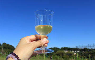 キッズいわき ぱふの岩城敏之さんにオンラインで会える 研修会のお知らせ お母さん大学